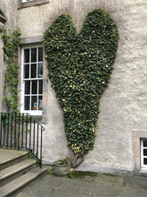 Load and play video in Gallery viewer, Photographs of Edinburgh (in a calendar)